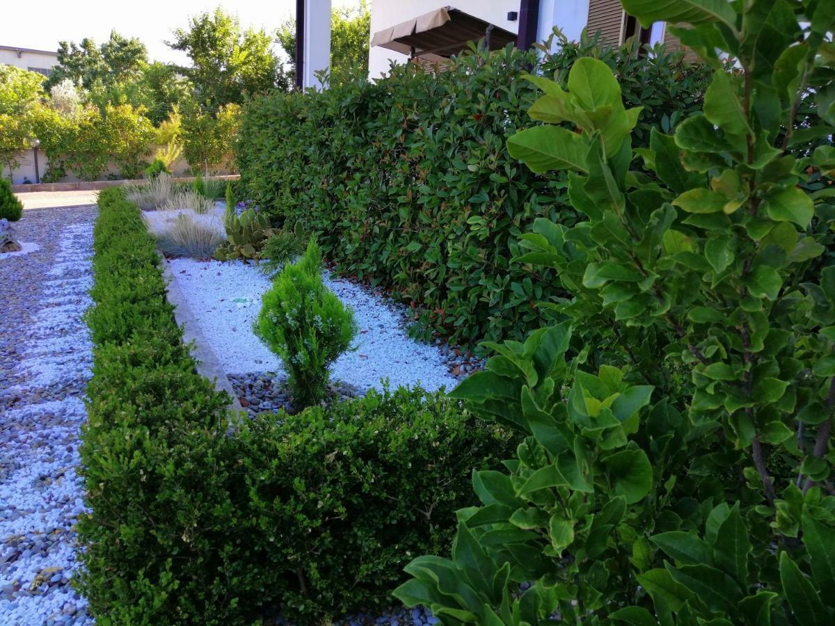 Mamma Puglia Suite & Breakfast Santeramo in Colle Bilik gambar